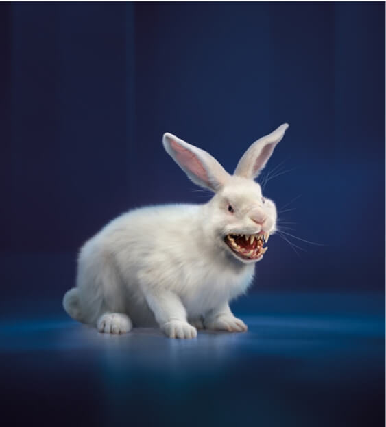 An image illustrating CML as a sinister bunny to emphasize by later lines, CML stops being the “good cancer”